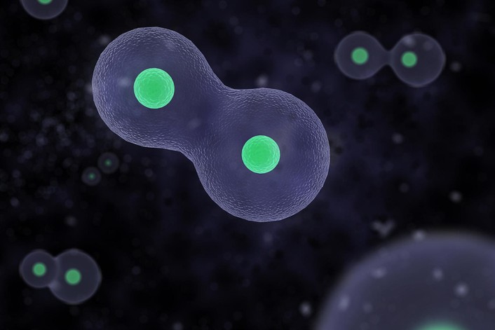 Cell Cell